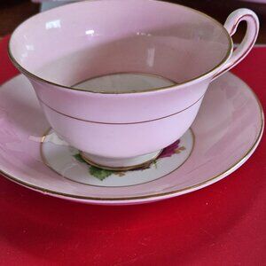 wow  this pretty in pink beauty rosina english bone china teacup & saucer set